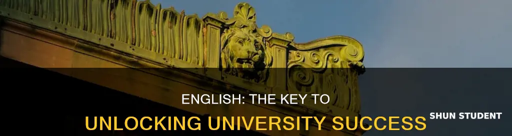 why english is important for university students