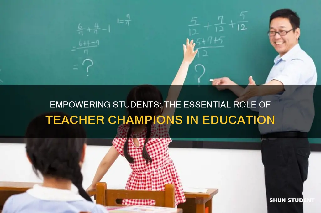 why every student needs a teacher champion