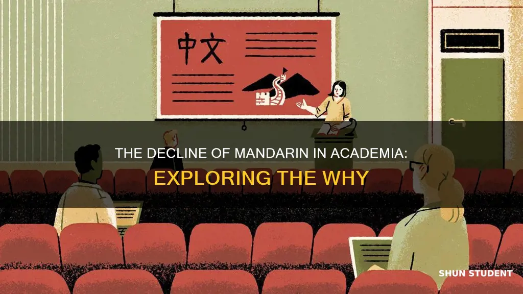 why fewer university students are mandarin