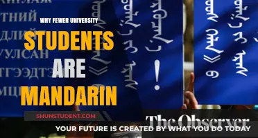 Decline in Mandarin-Speaking Students: Why?