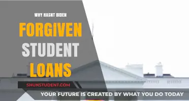 Why Biden Hasn't Forgiven Student Loans: Legal, Political, and Economic Hurdles