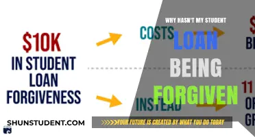 Why Your Student Loan Forgiveness Application May Be Delayed