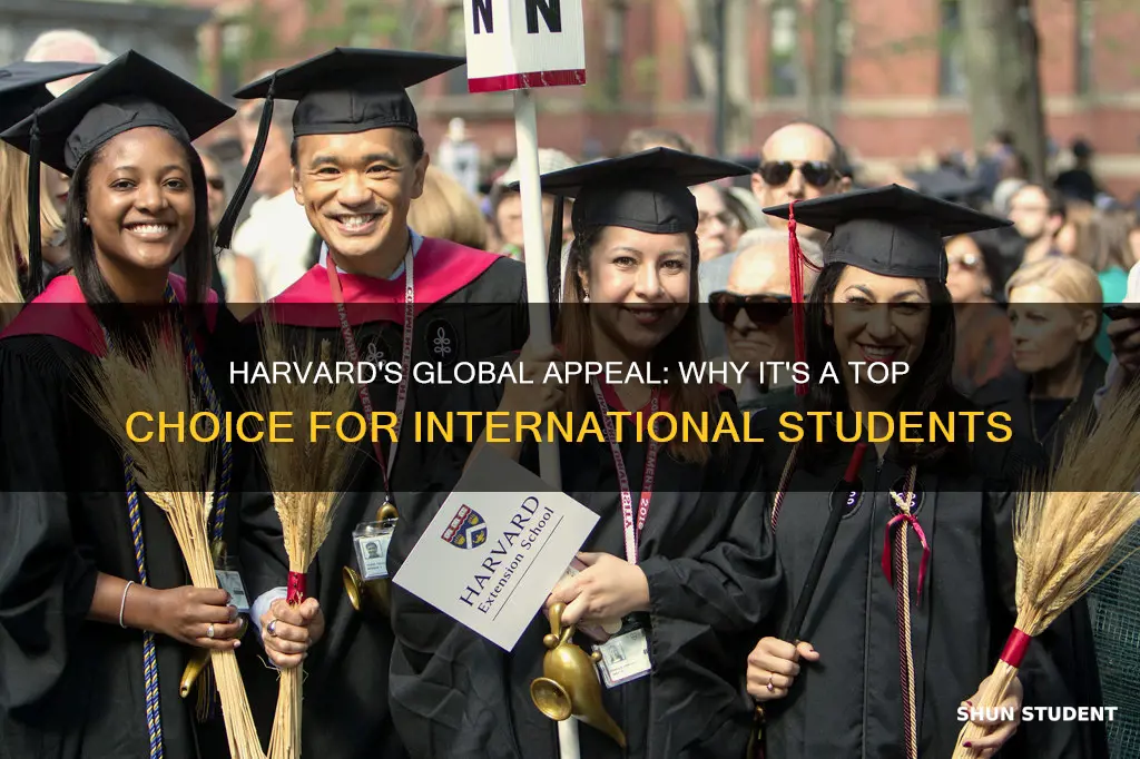 why havard university is the best for international students