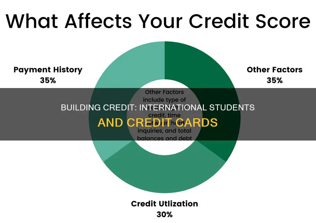 why have a credit card as an international student