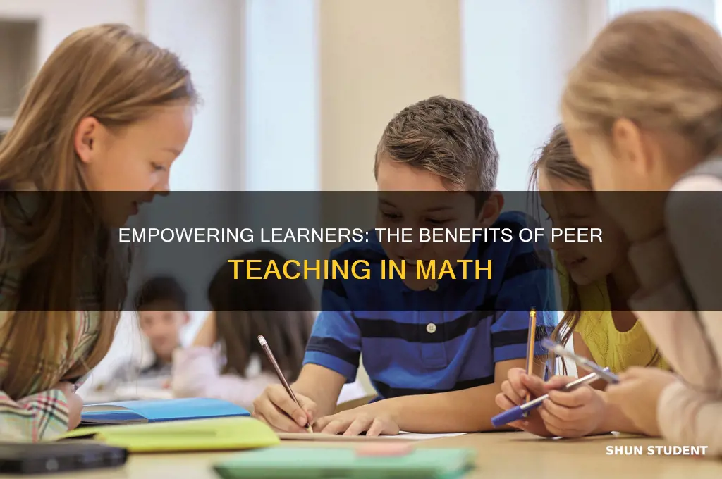 why have students teach and explain a math concept problem