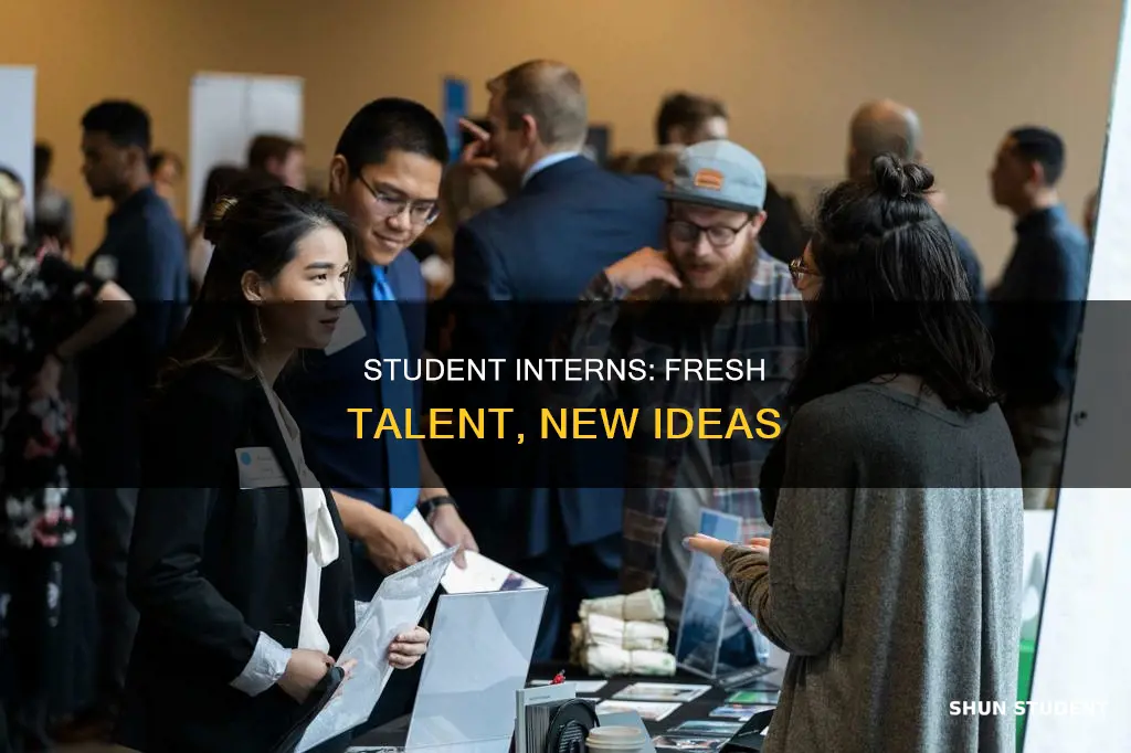why hire a student intern