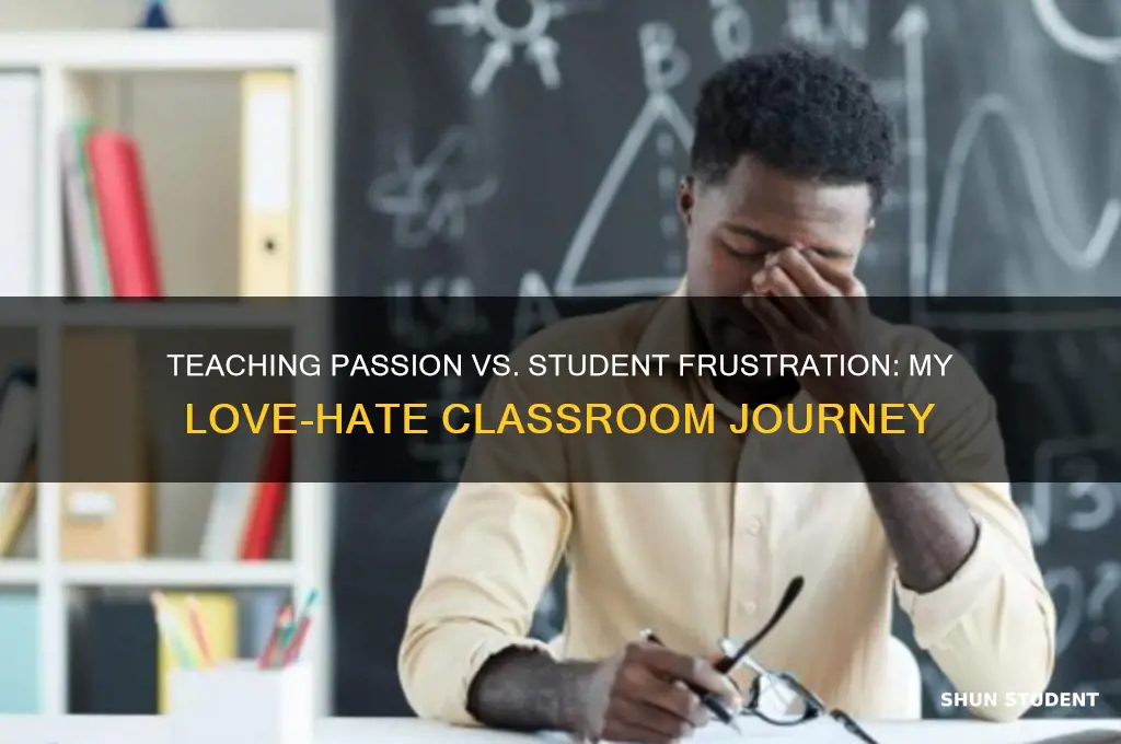 why i hate the students but love teaching