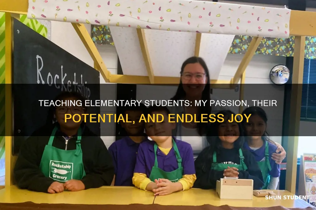 why i love to teach elementary students