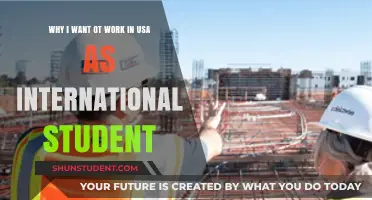A Dream to Work in the USA