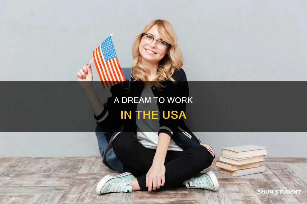 why i want ot work in usa as international student