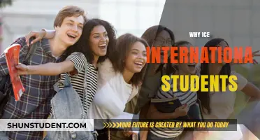 International Students: Why They Choose to Study Abroad