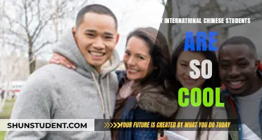 Chinese Students: Globally Cool and Here's Why