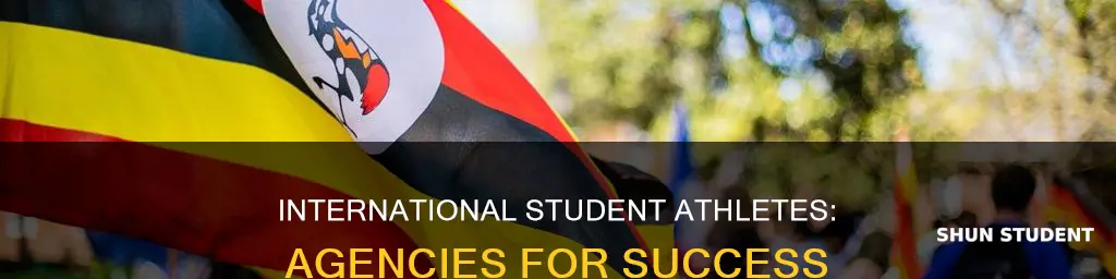 why international student athletes need agencies