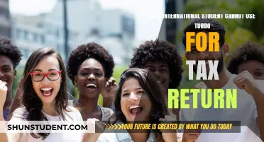 Turbo Tax Unavailable to International Students: Why?