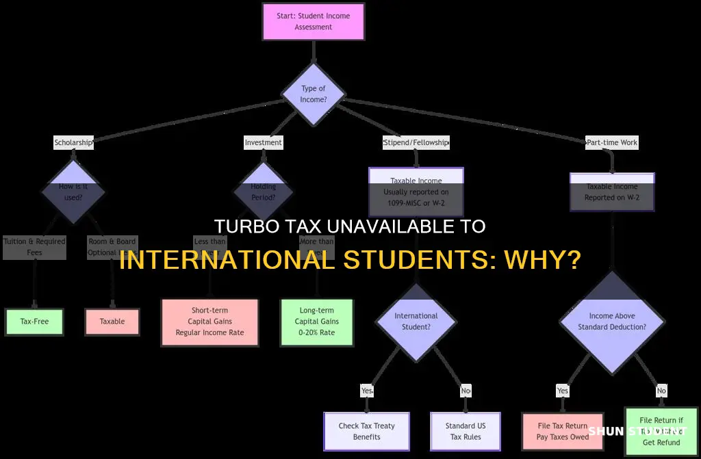 why international student cannot use turbo for tax return