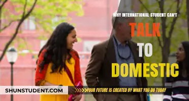 Bridging the Gap: International and Domestic Student Divide