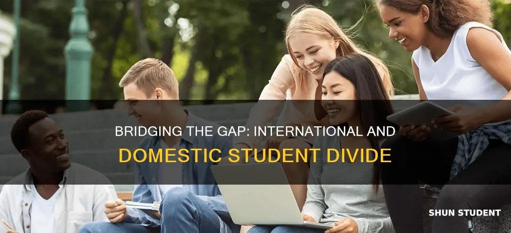 why international student can
