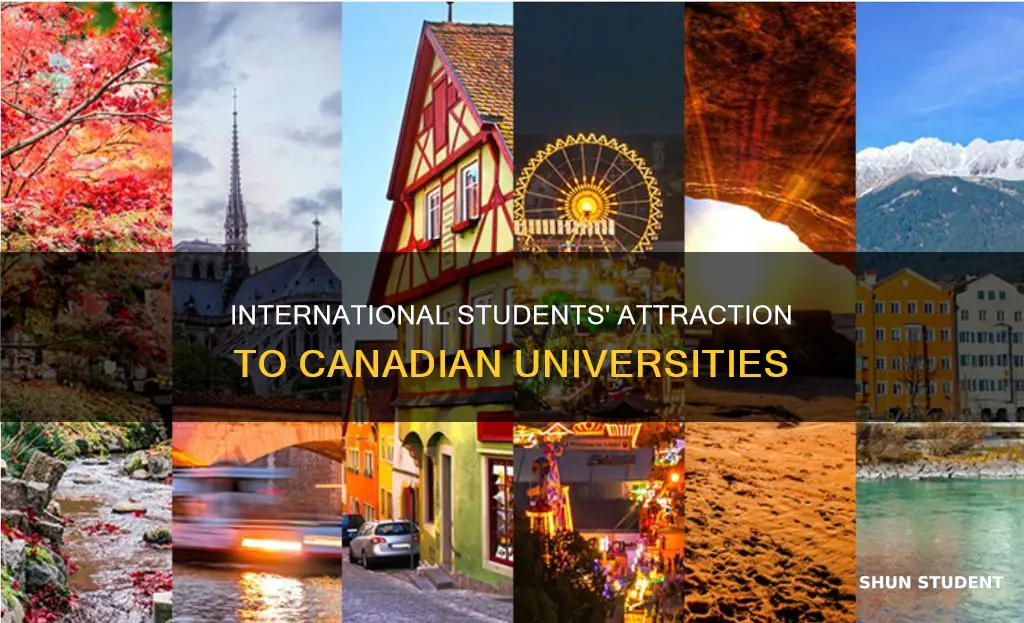 why international student come in is