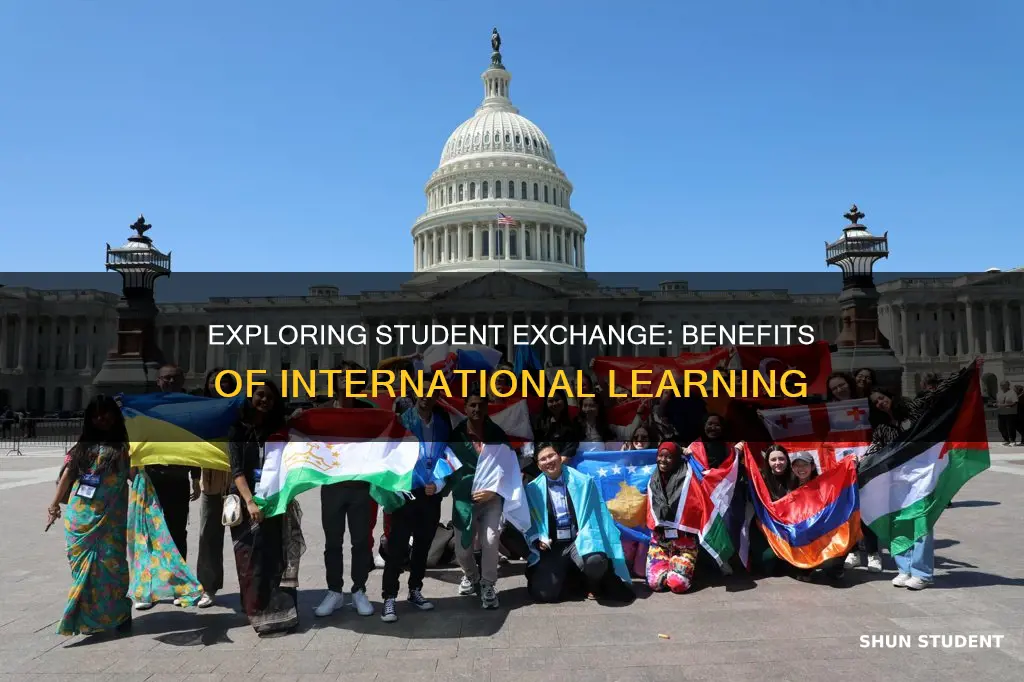 why international student exchange