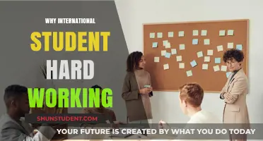 Hard-Working International Students: Why the Drive?