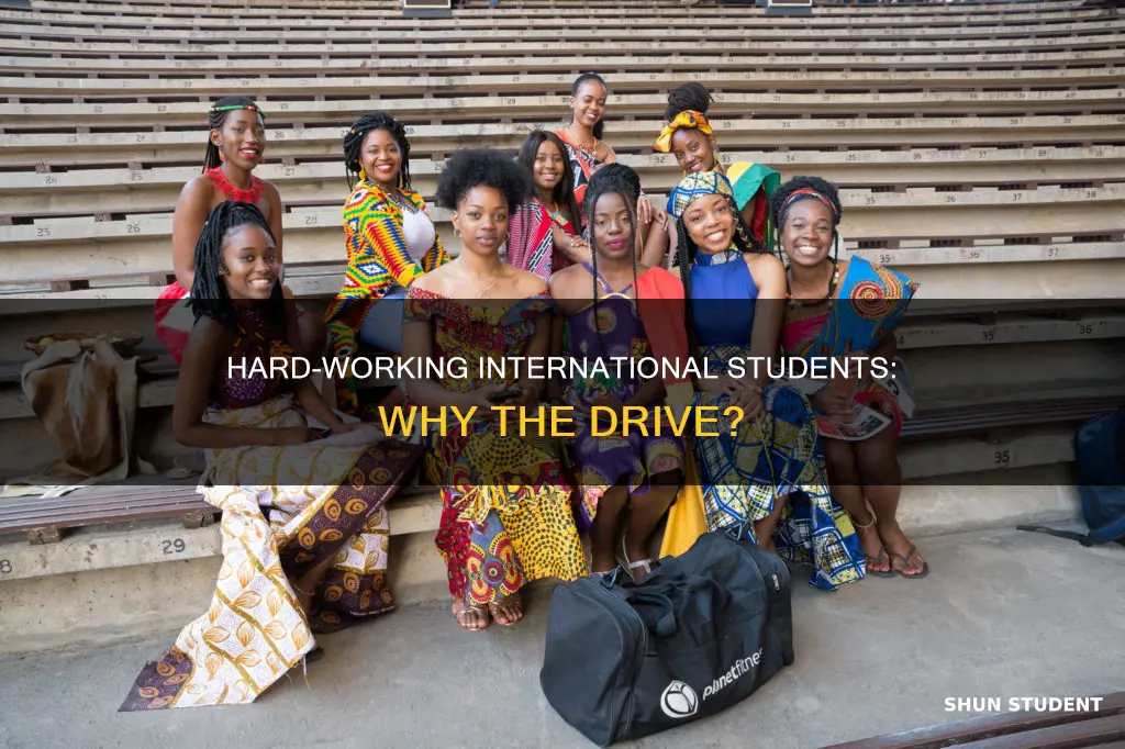why international student hard working