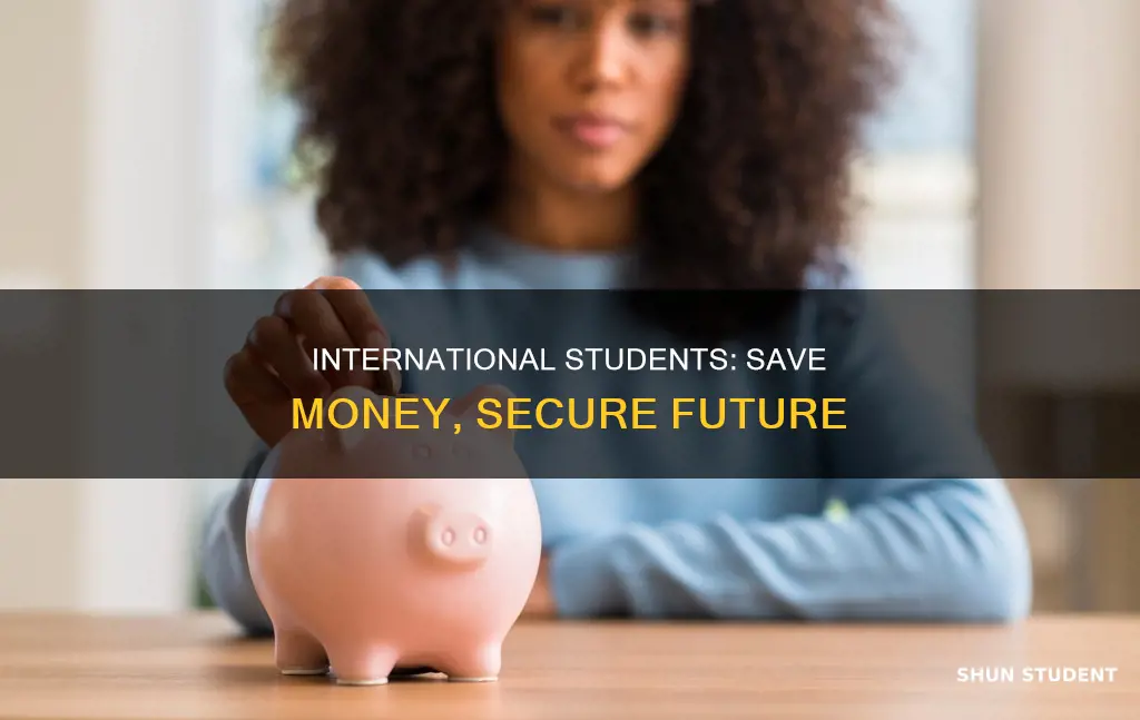why international student should save money