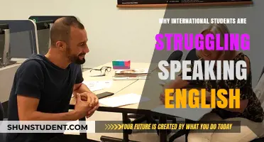 English Language Challenges for International Students
