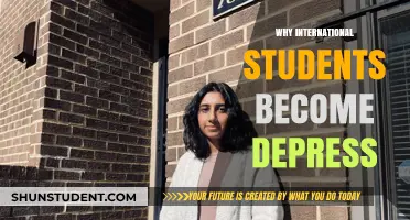 The Dark Side of Studying Abroad: Student Depression