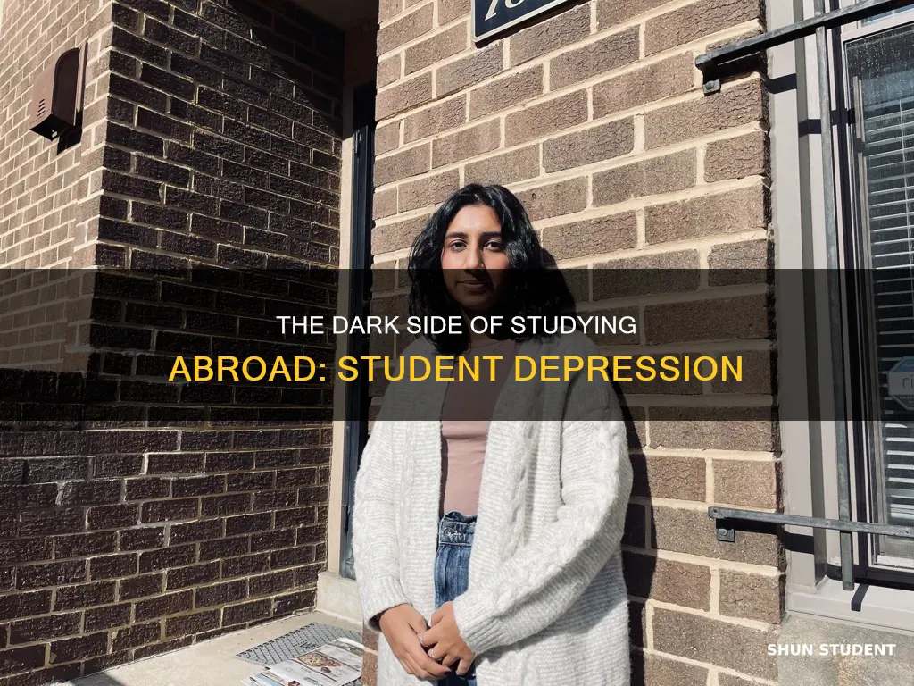 why international students become depress