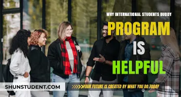 International Student Buddy Programs: Support and Community