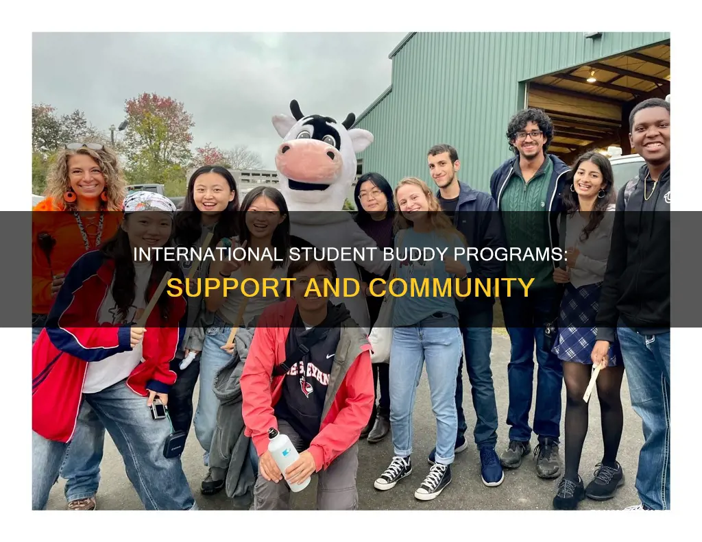 why international students buddy program is helpful