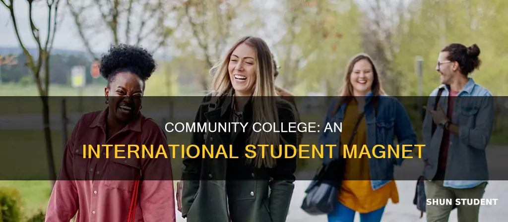 why international students choose community college