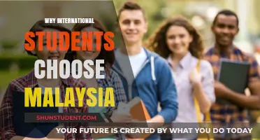 International Students Flock to Malaysia: Why?