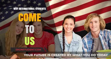 International Students: Why the US?