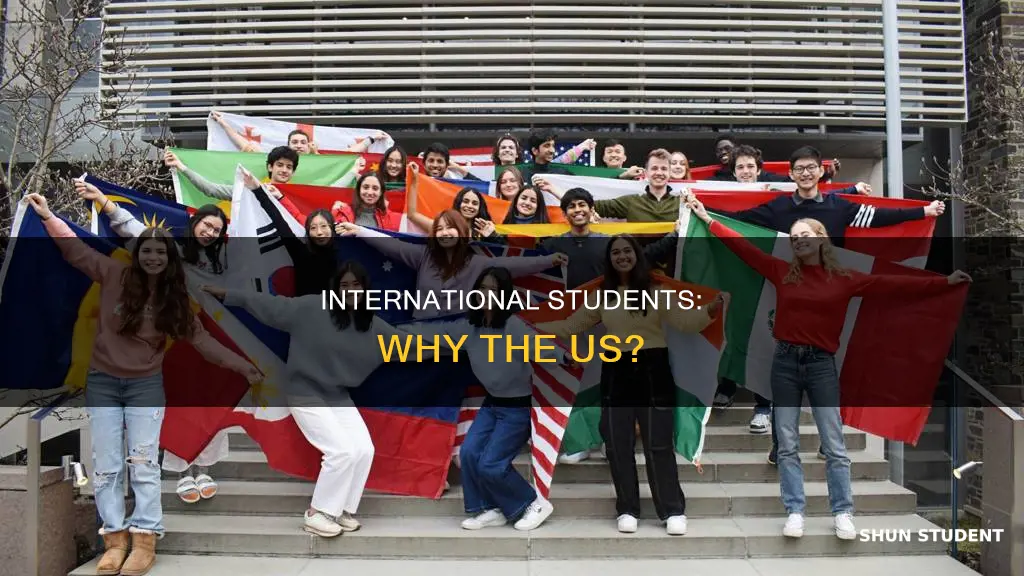 why international students come to us