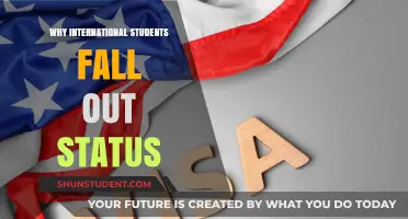 International Students: Visa Compliance Challenges