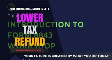 International Students: Lower Tax Refunds Explained