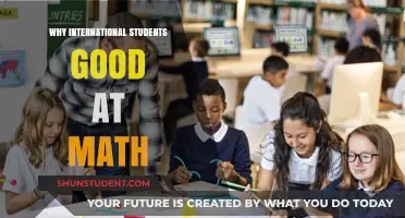 Math Whizzes: International Students' Secrets