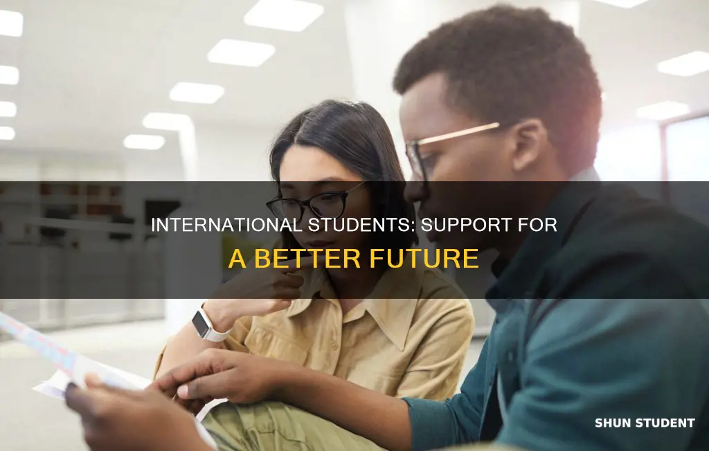 why international students need more support