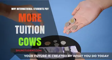 International Student Tuition Fees: Unfairly High Costs
