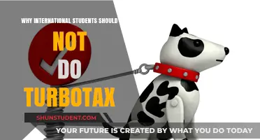 International Students: Avoid TurboTax, Here's Why