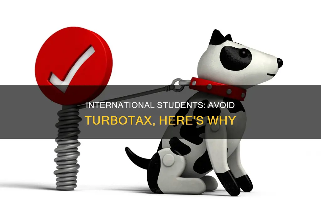 why international students should not do turbotax