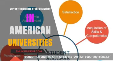 International Students: Thriving in the US University System