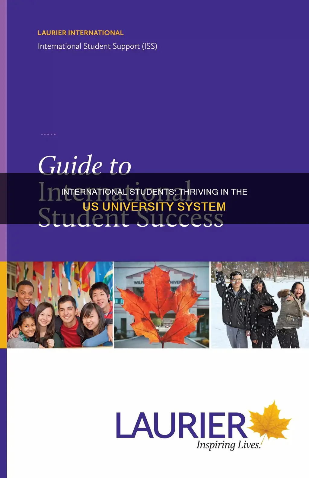 why international students strive in american universities