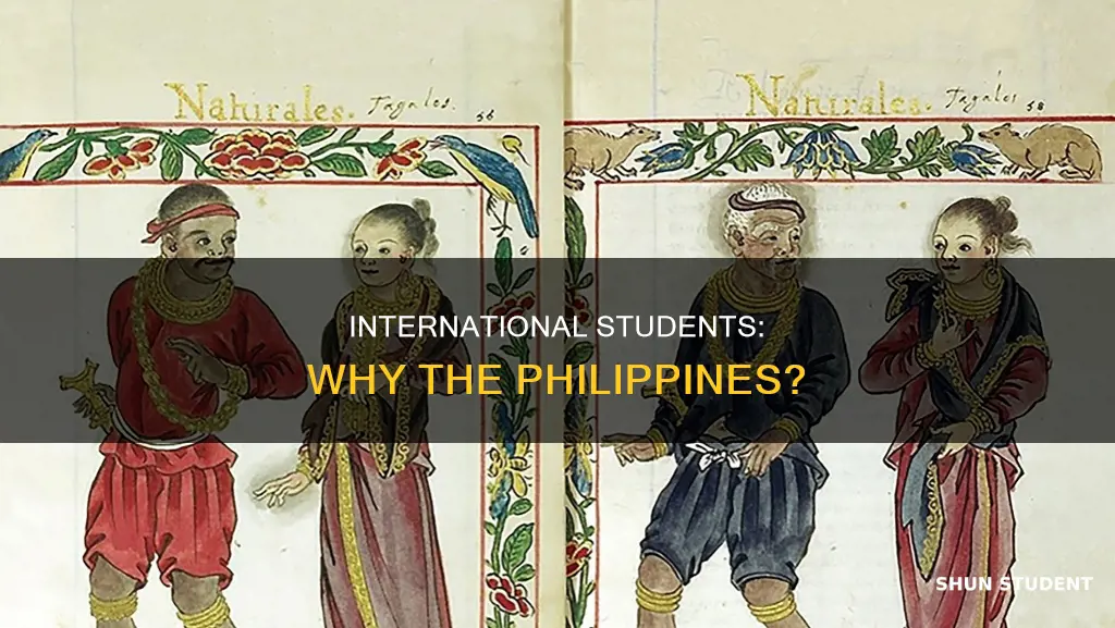 why international students study in the philippines