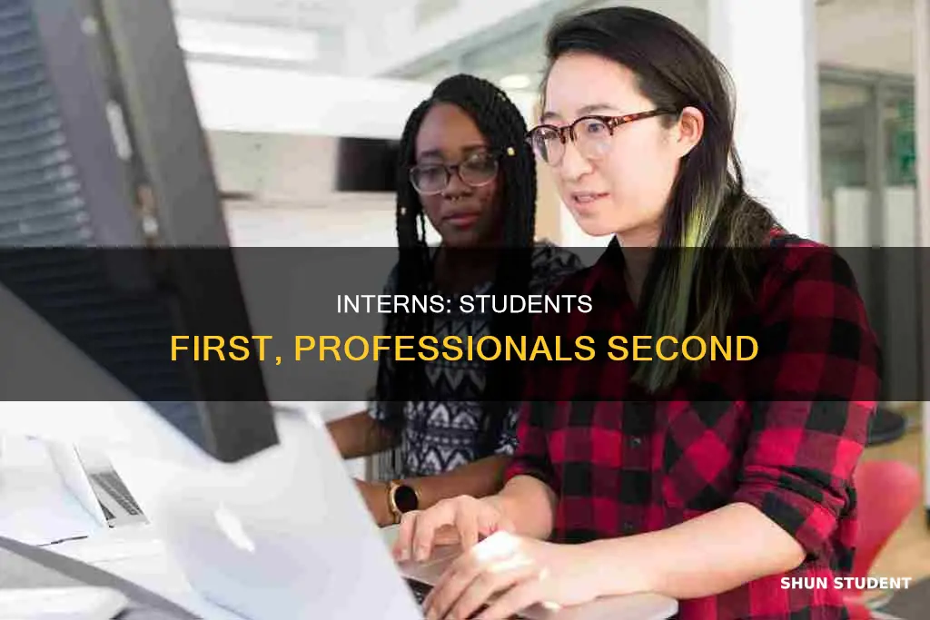 why interns must be students