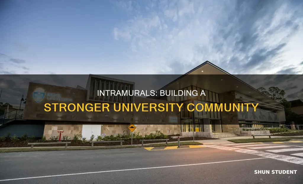 why intramurals help students feel closer to the university