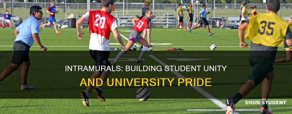 why intramurals help students feel closer to the university