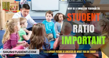 Smaller Teacher-Student Ratios: Enhancing Learning, Engagement, and Academic Success
