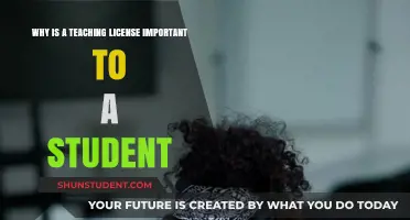 Why a Teaching License Matters for Student Success and Trust